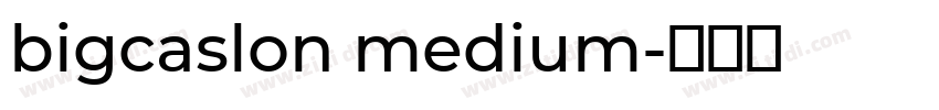 bigcaslon medium字体转换